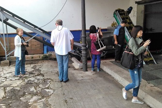 Madrid Wineries Private Tour with Hotel Pickup and Lunch - An In-Depth Look at the Tour Experience