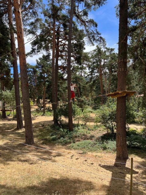 Madrid: Zip Line Circuits High in the Trees - Good To Know