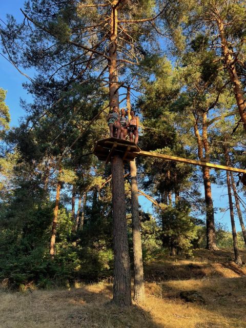 Madrid: Zip Line Circuits High in the Trees - Activity Description