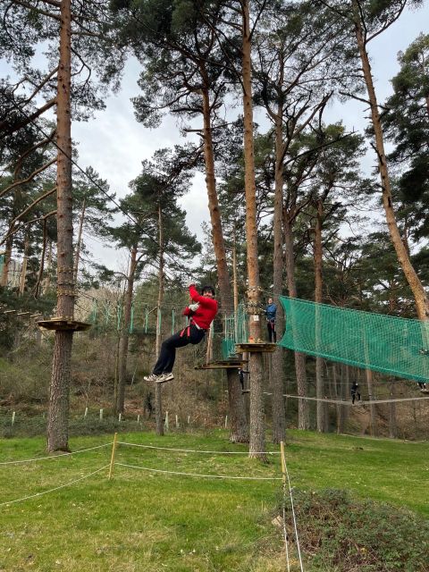 Madrid: Zip Line Circuits High in the Trees - Important Information