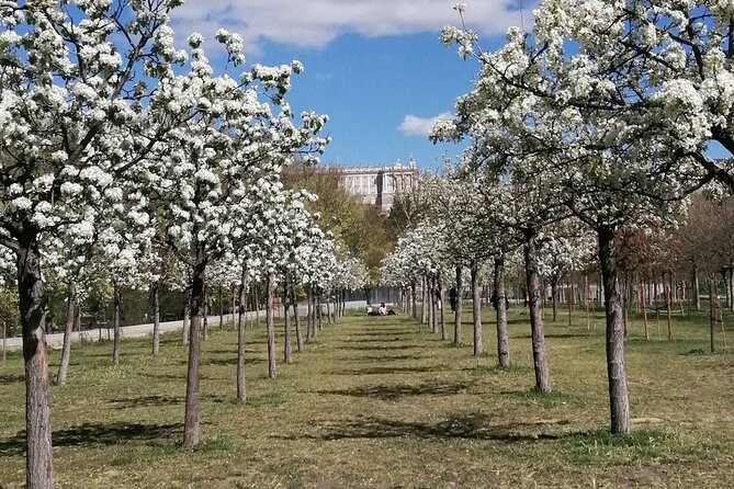 Madrid'S Golden Age: History Along the Manzanares River - Strolling Along the Manzanares