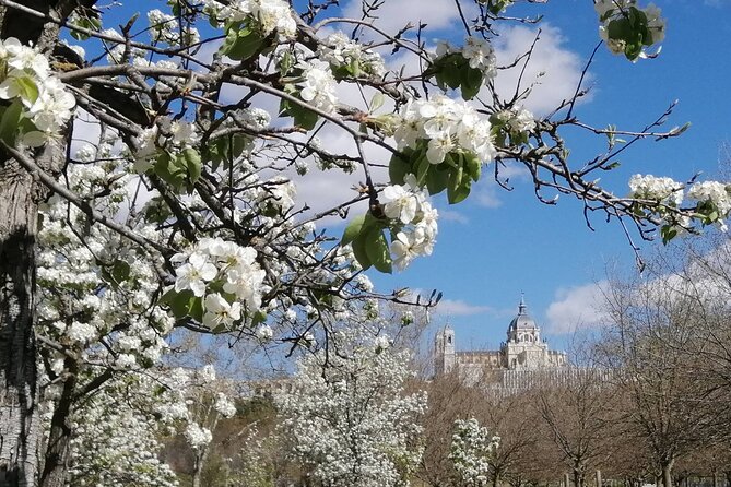 Madrid'S Golden Age: History Along the Manzanares River - Understanding the Rivers Significance