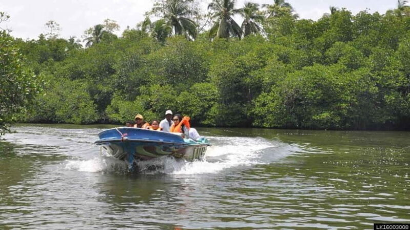 Madu River Boat Safari: A Journey Through Nature's Paradise - Key Points