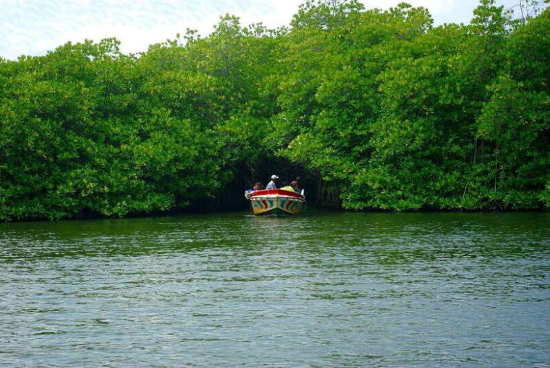 Madu River Boat Safari: A Journey Through Nature's Paradise - The Sum Up: Is the Madu River Boat Safari Worth It?