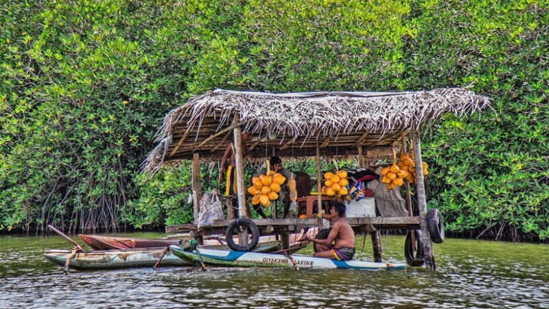 Madu River Boat Safari - Who Is This Tour Best For?