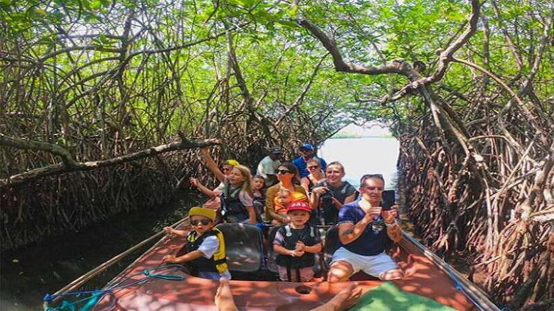Madu River Boat Tour and Cinnamon Garden visit - Key Points