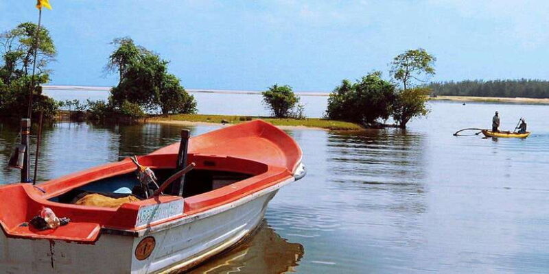 Madu River Boat Tour and Cinnamon Garden visit - An In-Depth Look at the Madu River Boat Tour