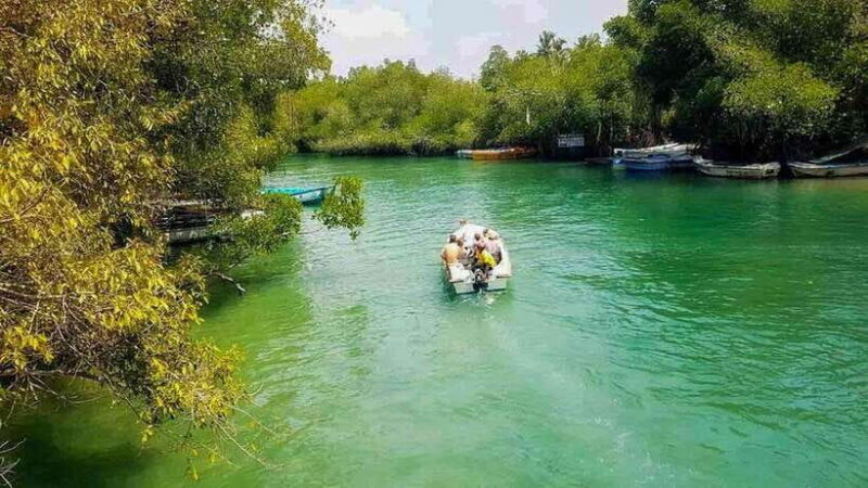 Madu River Boat Tour and Cinnamon Garden visit - Frequently Asked Questions