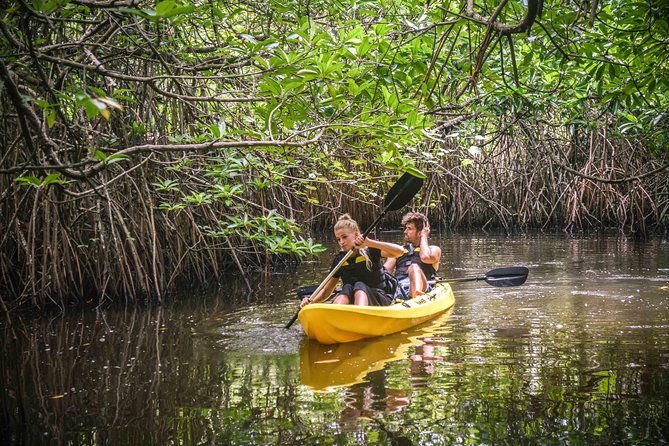 Madu River Sunrise Mangrove Kayaking - Pricing and Cancellation Details