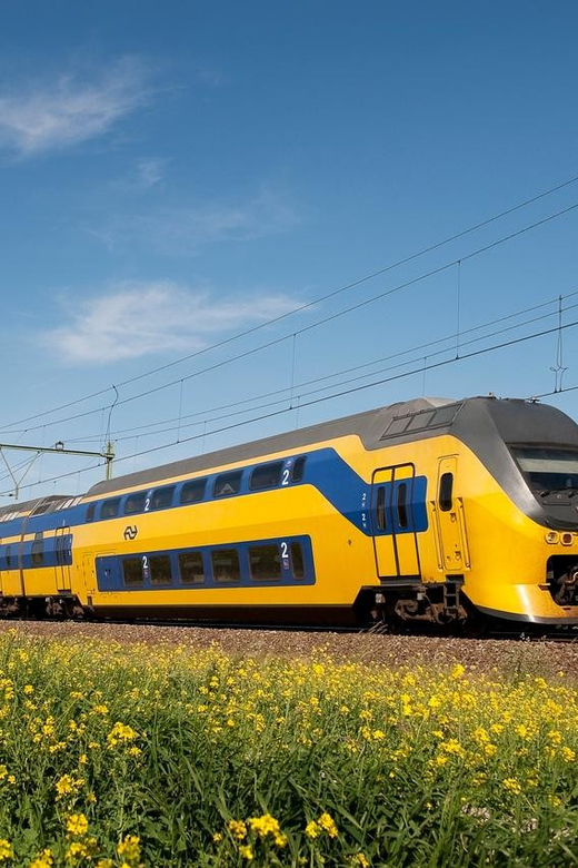 Madurodam: Train + Tram Transferring To/From Rotterdam - Child Travel Policy