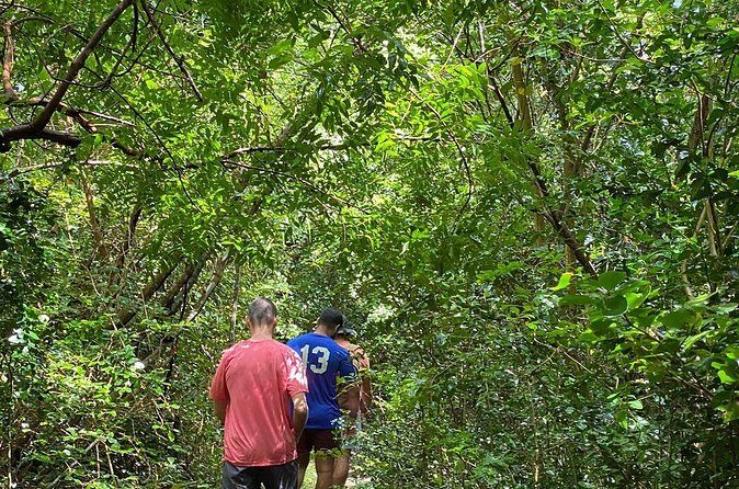 Magens Bay Trail Hiking Tour - Who Will Love This Experience?