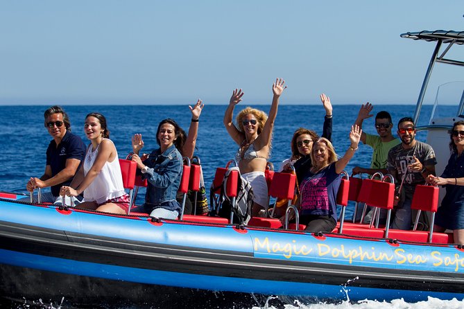 Magic Dolphin Sea Safaris - Meeting and Pickup