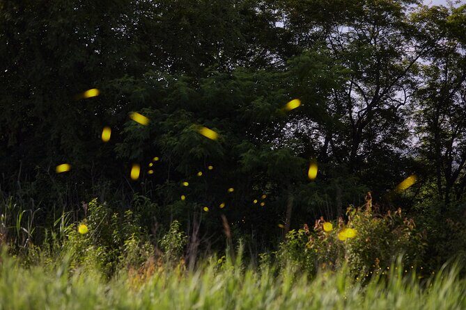 Magic Fireflies & Visit a Historic Hacienda Tour from Mexico City - Frequently Asked Questions