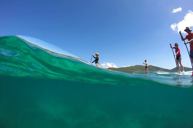 Magic Mangrove Paddle in Beef Island Lagoon - The Value of the Experience