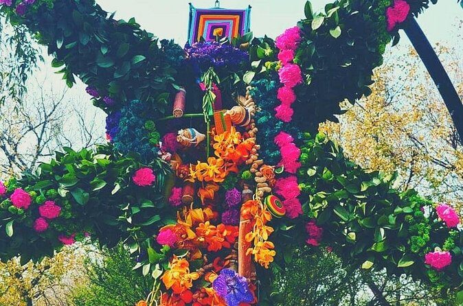 Magic Private Christmas Tour in Tepotzotlan - What Past Participants Say (from reviews)