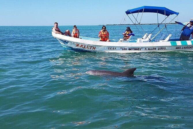 Magic Sian ka'an Deluxe two boats - Who Should Book This Tour?