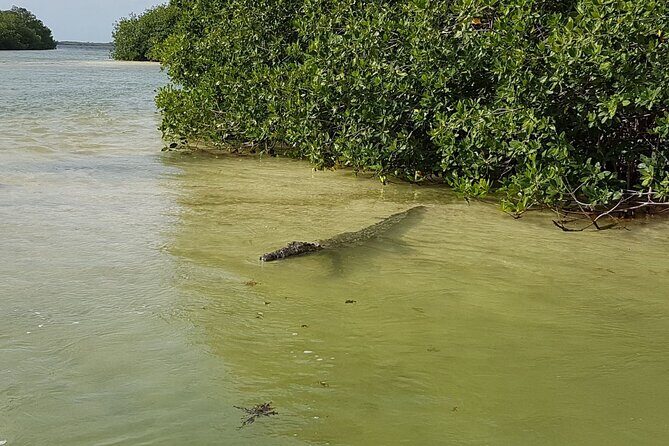 Magic Sian ka'an Deluxe two boats - Final Thoughts