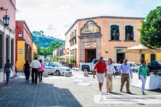 Magic Town Tequila and Agave Fields - Authentic Experience and Traveler Tips