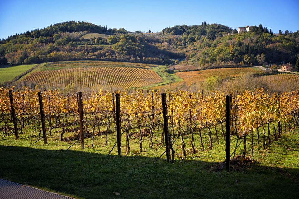 Magic Tuscany Tour - Frequently Asked Questions