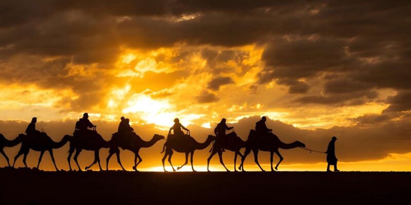 Magical Agafay : Camel Ride & Dinner Show | Travel Buddies