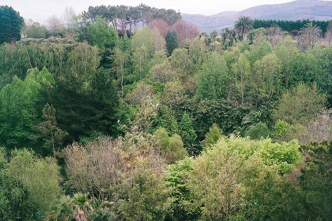 Magical and Exclusive Private Visit to the Fonte Baxa Garden, Luarca - Exploring the Fonte Baxa Garden Tour: What You Can Expect