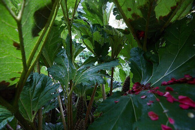 Magical and Exclusive Private Visit to the Fonte Baxa Garden, Luarca - FAQ