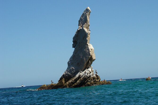 Magical Baja Adventure Todos Santos, Cabo, & San José Tour - An Overview of What to Expect