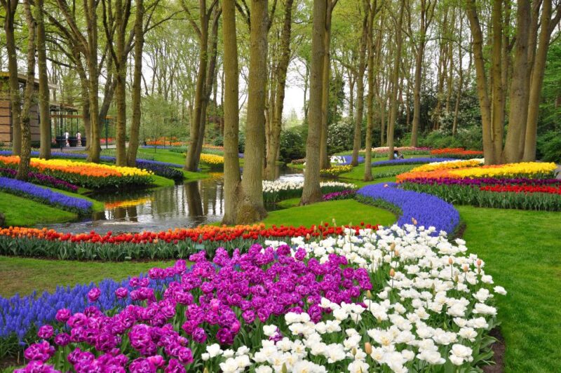 Magical Delft and the Keukenhof Estate: Tulips Galore - Customer Reviews and Ratings