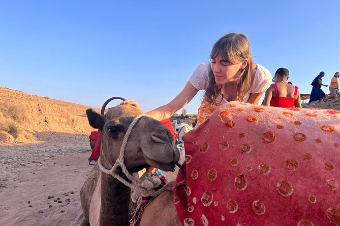 Magical Dinner Show & Camel Ride in Marrakech Rocky Desert - Group Size and Availability