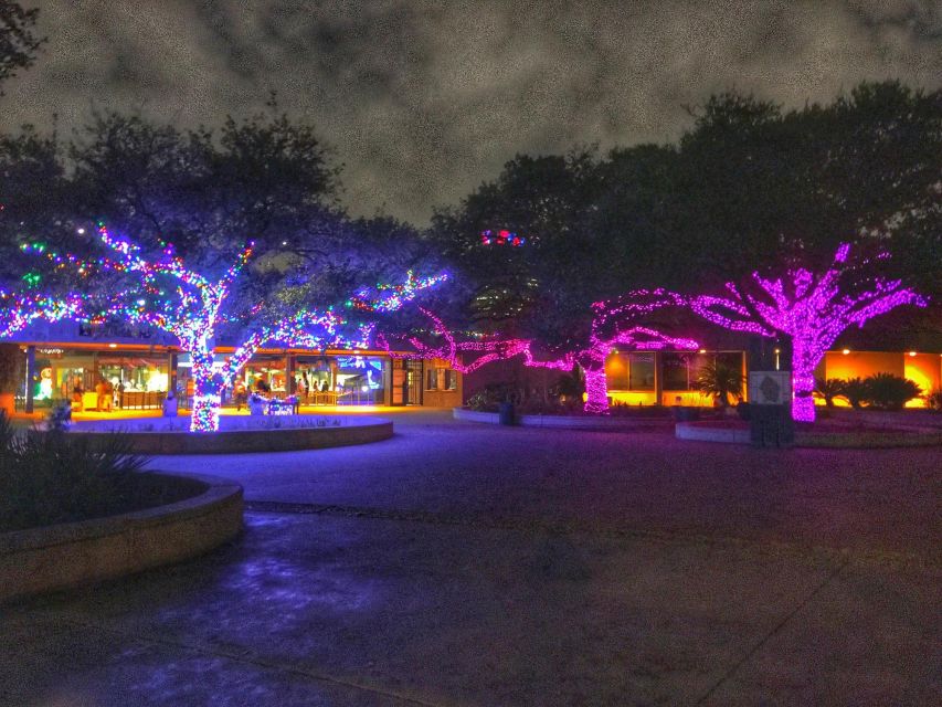 Magical Houston Holiday: Enchanting Christmas Adventure - Marveling at Festive City Lights