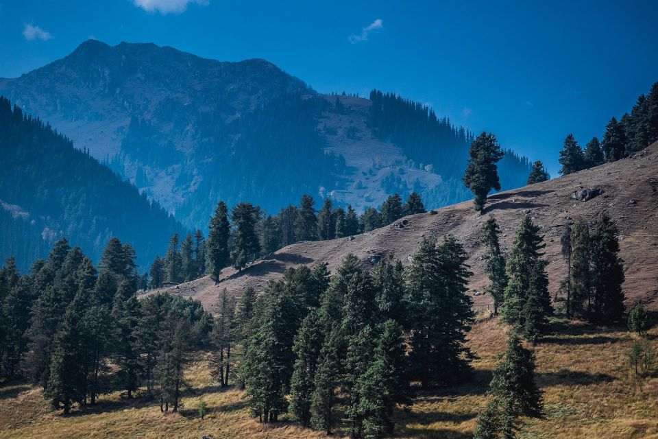 Magical Kashmir Tour - Highlights of the Tour