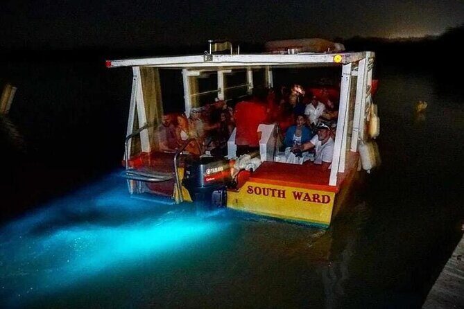 Magical Luminous Lagoon Private Tour - The Itinerary in Detail