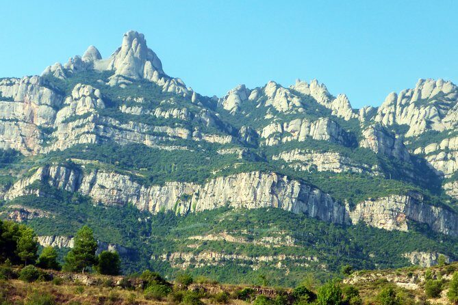 Magical Montserrat with a Private Guide: Family Friendly Trip - Who Should Consider This Tour?