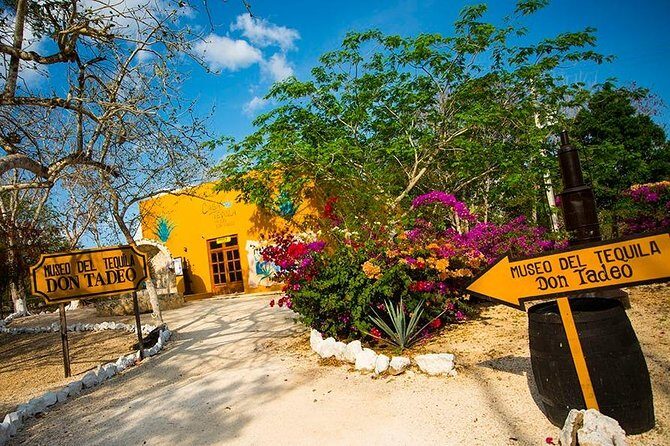 Magical nights of Kukulkan. Chichen Itza, Valladolid and a sacred cenote tour. - FAQs