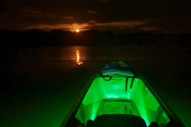 Magical Nite Glow Kayak Tour - Sum Up