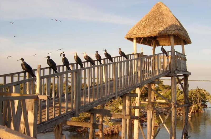 Magical Sunrise on Holbox Island VIP - Coffee & Light Breakfast - Key Points