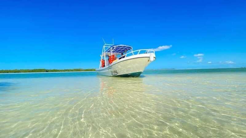 Magical Sunset at Sea off Holbox Island VIP + Lobster & Guacamole - Key Points