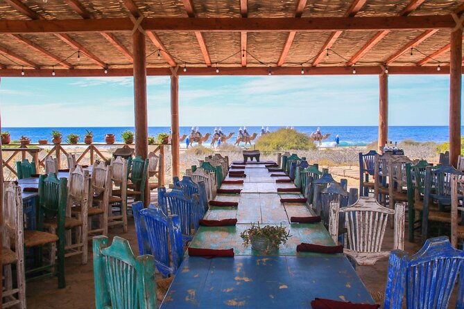 Magical Todos Santos Tour, Camel Ranch, Lunch & Tequila - Inclusions and Logistics