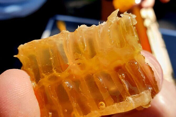 Magical World of Beekeeping on São Miguel Azores Private Tour - Exploring the Magic of Beekeeping on São Miguel Azores: A Practical Review