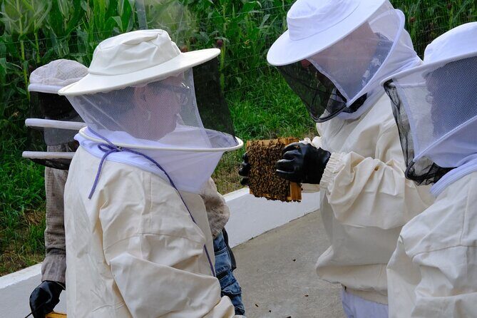 Magical World of Beekeeping on São Miguel Azores Private Tour - Key Points