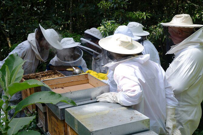 Magical World of Beekeeping on São Miguel Azores Private Tour - FAQ