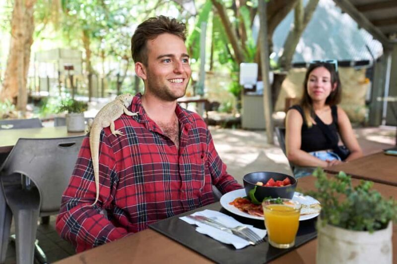 Magnetic Island: Breakfast with Koalas Experience - The Dining Experience and Atmosphere