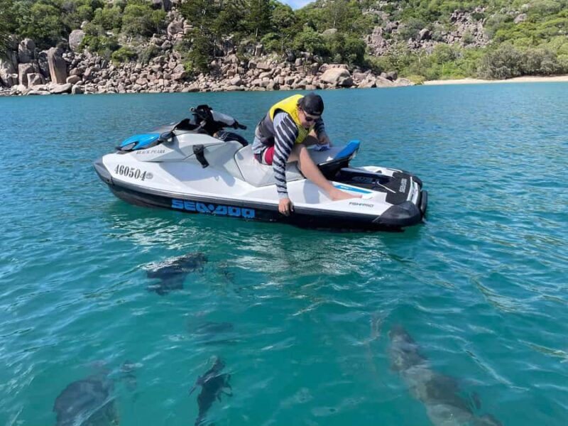 Magnetic Island Snorkel Jet Ski Tour - Introduction: Discovering Magnetic Island’s Underwater Charms