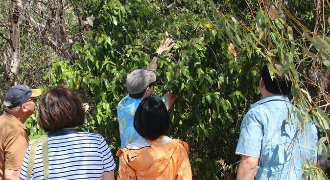 Magnetic Island Tour: Maggie Comprehensive - Customer Reviews and Ratings