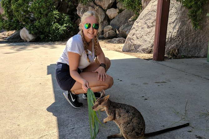 Magnetic Island Tour: Maggie Comprehensive - Tips for a Great Experience