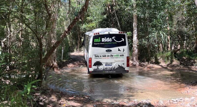 Magnetic Island: West Coast Eco Adventure Bus Tour - Key Points