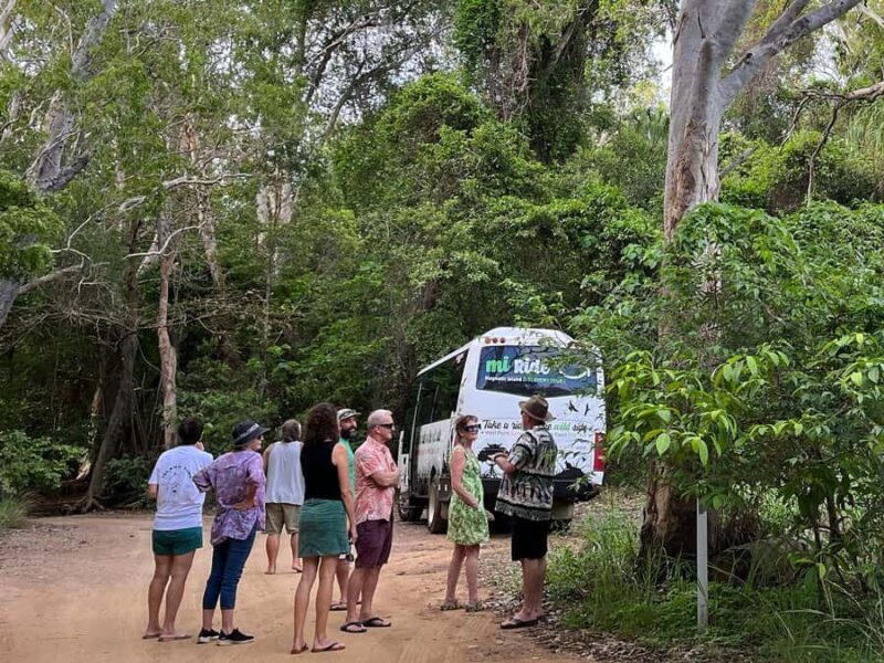 Magnetic Island: West Coast Eco Adventure Bus Tour - An In-Depth Look at the Tour Experience