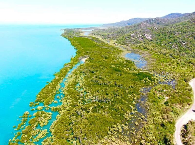 Magnetic Island: West Coast Eco Adventure Bus Tour - Who Should Book This Tour?