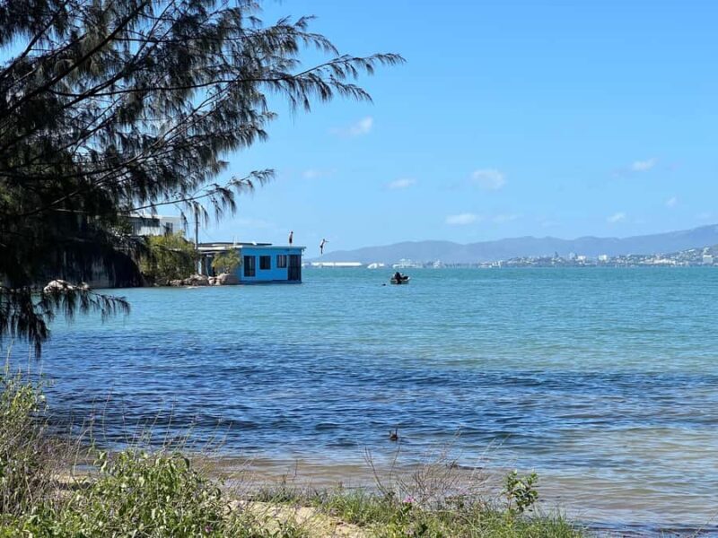 Magnetic Island: West Coast Eco Adventure Bus Tour - Final Thoughts