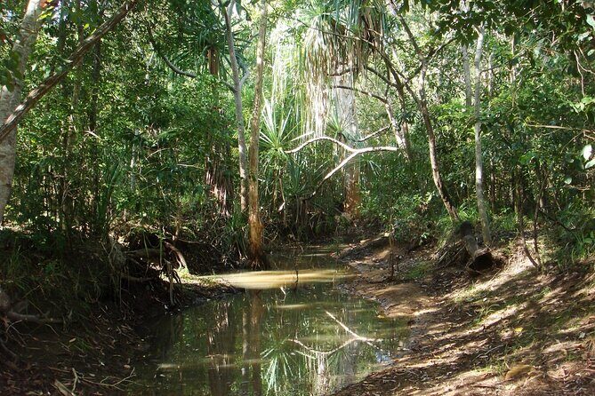 Magnetic Island: West Coast Eco Adventure - Frequently Asked Questions